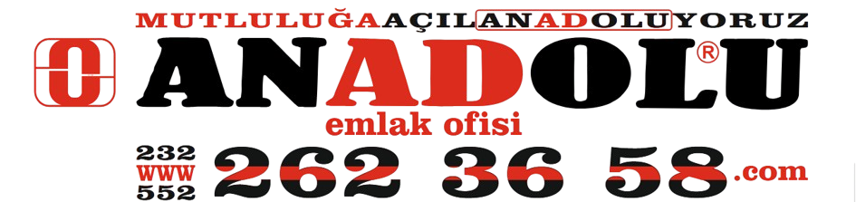 AnadoluOfis_Logo_number-removebg-preview-2